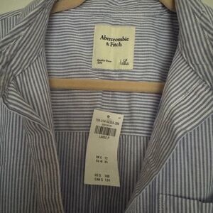 Abercrombie & Fitch Blue Striped Shirt Dress